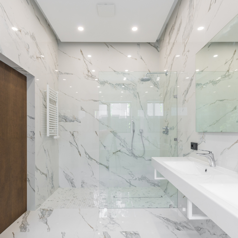 Stationary Shower Door